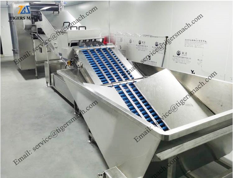 product-750-572 product-750-572